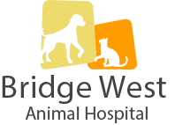 Bridge West Animal Hospital